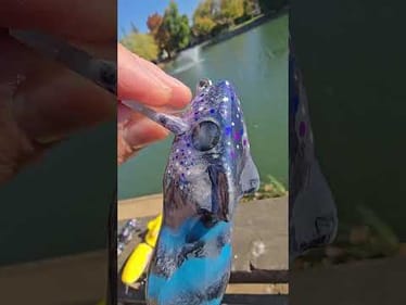 Dip and shoot!  #dip #shoot #craw #tune