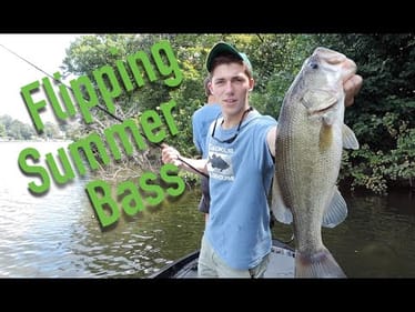Flipping Brush For Summer Bass