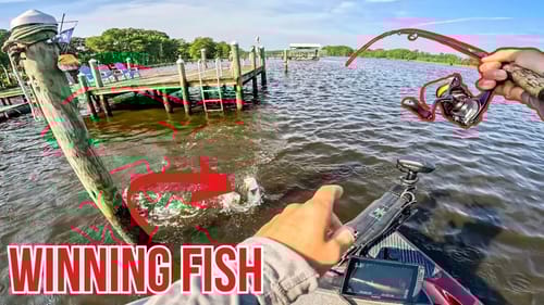 Unexpected TROPHY WIN Fishing The River?!?! Summer Bass Fishing