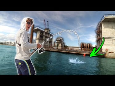The MOST INSANE Topwater Fishing Of My LIFE!! — (Florida Mayhem)