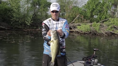 How to Power Swim a Jig for BIG BASS!
