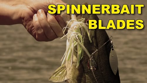 The Best Spinnerbait Blade Types | Bass Fishing