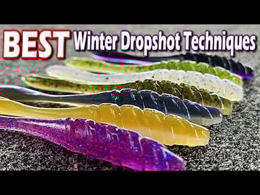 The BEST Dropshot Techniques for Winter Bass Success