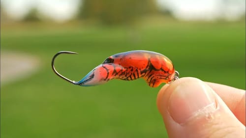 MICROSCOPIC Crankbait Challenge!!! - (TLC Ep.8)