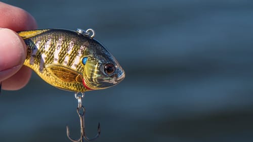 Secret Winter Bass Lure in MTB Pro Unboxing