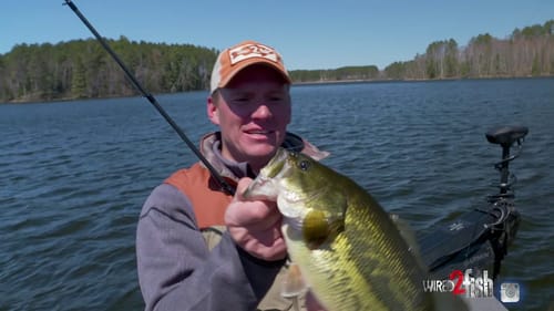 Square Bill Crankbaits (TRICKS for SPRING BASS FISHING)