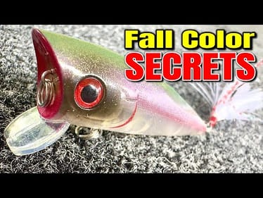 What's the BEST Fall Bait Color for Catching MORE Bass