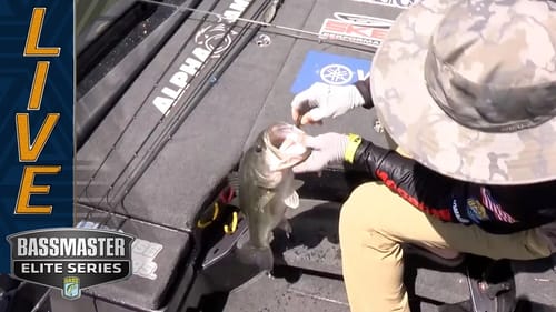 LAY LAKE: Palaniuk staying on top with sight fishing success