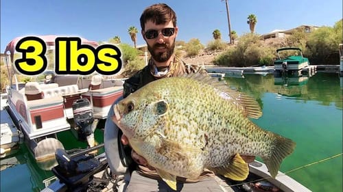 FISHING for 3 POUND SUNFISH in CRYSTAL CLEAR WATER!!!!