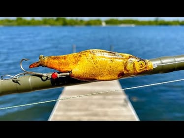 Will fish eat a 75 year old mummified minnow?