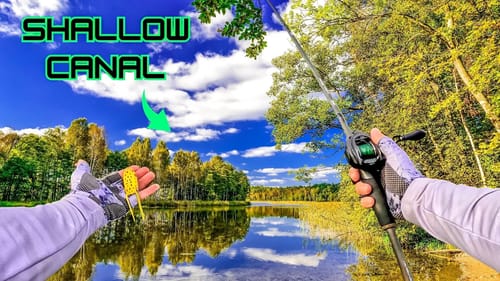 Fishing SHALLOW CANALS For BIG BASS!!! || Pasquatank River