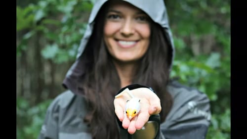 HOTTEST New Lure on the Planet - SPRINKER FROG!!