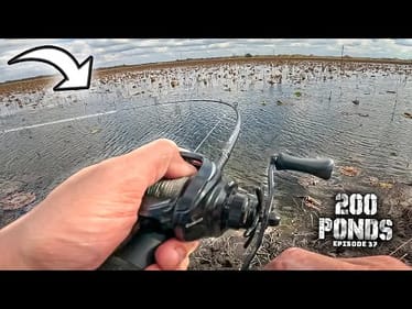 I Fished A Pond TOTALLY FULL Of Grass! ("200 Ponds" Ep. 37)