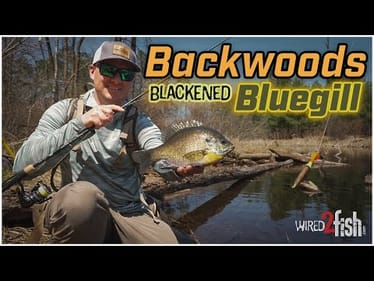 On The Bank - EP2: Backwoods Bank Fishing & Blackened Bluegill Catch and Cook