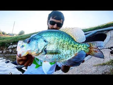 The BIGGEST CRAPPIE I’ve EVER SEEN!!