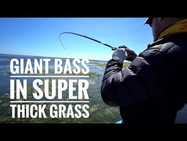 GIANT BASS In Super Thick Grass - BEST DAY OF THE YEAR!!!