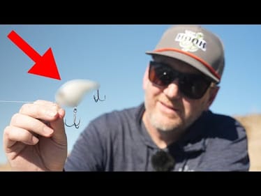 The Secret Crankbait The Pros Don't Want You To Know About For Spring!