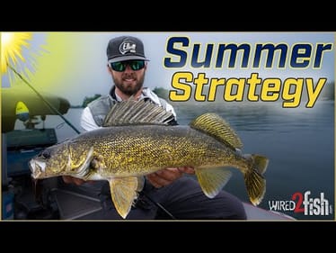 Tom Boley's Summer Walleye Strategy: Mapping, Sonar, and Baits
