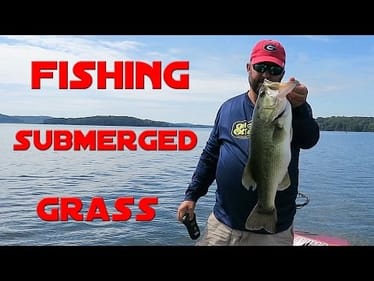 Bass Fishing - How to Fish Submerged Grass
