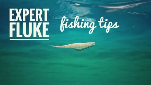 3 Must-Know Fluke Rigging and Fishing Tips