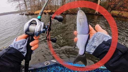 I Was SHOCKED By The Fish That Ate This GIANT 10" Glidebait