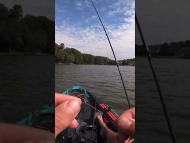The absolute WORST feeling for a fisherman… #shorts