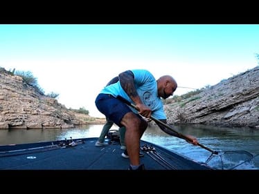 YOU NEED THIS BAIT In Your Tackle Box!!