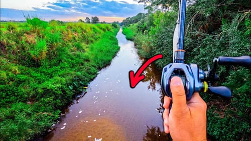 I Fished The Secret Canals and Caught My Biggest One Yet!