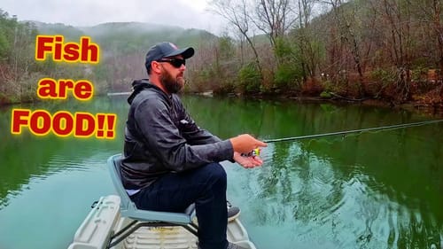 DELICIOUS! Catch from Small Mountain Lake