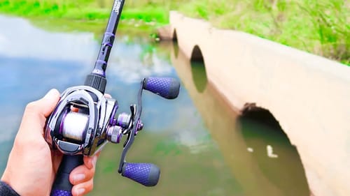 Catching GIANT Bass - SCALE NEEDED (Lake Fishing)