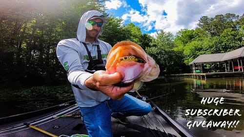 Frogging SHORELINE Grass for GIANT Bass!! || I Caught a BIG ONE!!