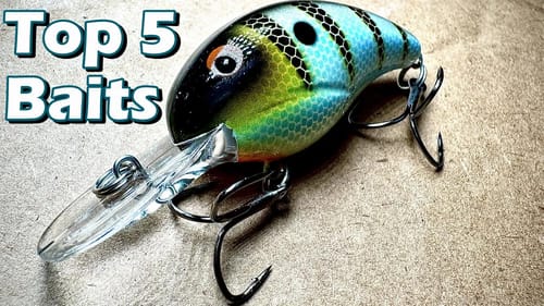 THESE Will CATCH Fall BASS - Top 5 Baits