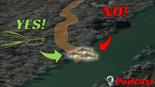 Why You’re Fishing By 1,000’s of Bass Each Trip and Not Catching Any | FTM Podcast #133