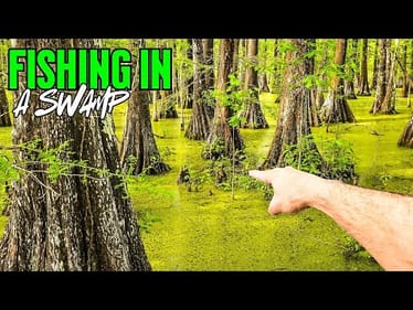 This SWAMP Was LOADED With Fish!!!