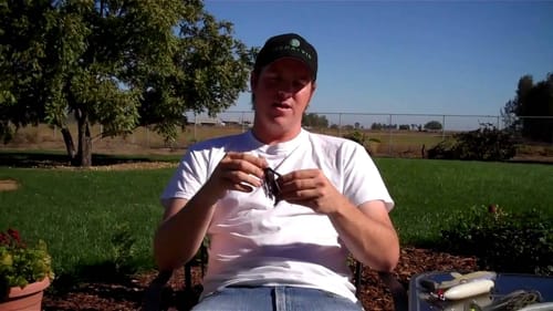Tips for bass fishing during the fall to winter transition