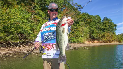 Year-Round Drop-Shot Fishing Tips
