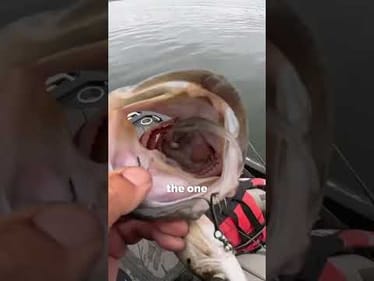 I Can't Believe This Happened...