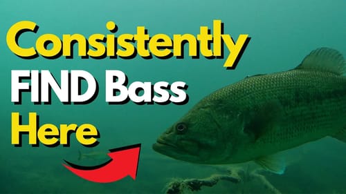 Bass Always Use This Structure - How to Approach it Correctly