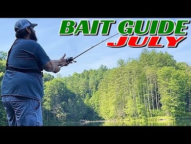 5 Lures That Will DOMINATE Your Summer Fishing Trips - July