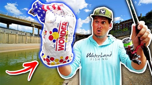 Catching My PERSONAL BEST Fish on......BREAD??!! (EPIC Urban Fishing)