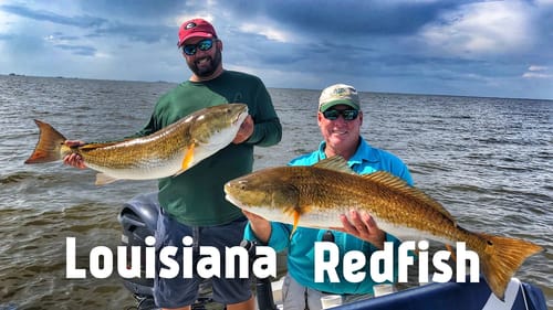 Amazing day Fishing for Redfish in Venice Louisiana