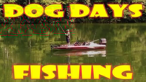 Deep Crankbaits, Soft Jerkbaits, Underspins August Junk Fishing