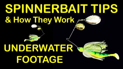 Spinnerbait Fishing Lure Tips and How to Fish Spinnerbaits (Underwater Footage)
