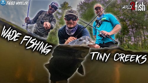 Wading for Shallow Water Smallmouth Bass with Wired2Fish