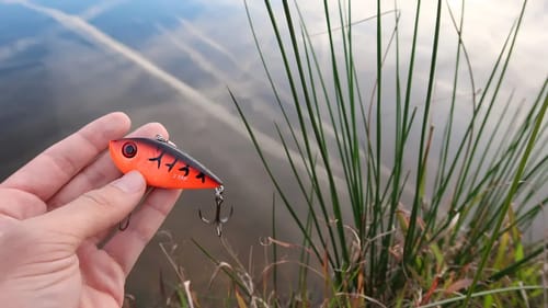 Catching HUMONGOUS Bass While Fishing LOCAL Ponds (Record Fish)