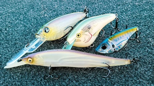 Winter Bass Fishing: Crankbaits, Blade Baits, and A-Rigs For Cold Water Bass