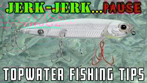 AWESOME Topwater Bass Fishing Tips : Cadence & Color