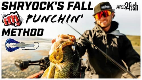 Fletcher Shryock’s Guide to Fall Flipping Success