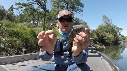 Spring Sight Fishing Made Easy!