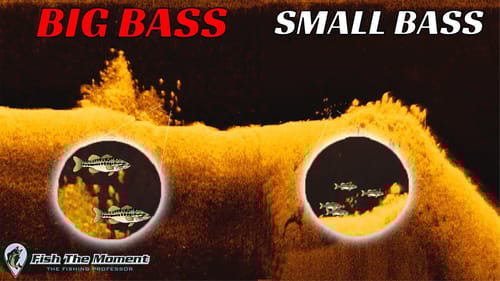 STOP Fishing THESE Offshore Areas If You Want to Catch Big Bass